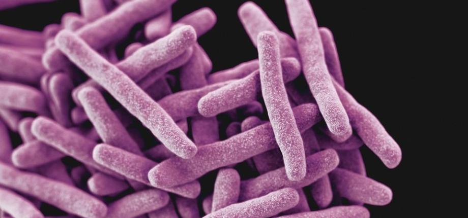 Defects in DNA repair genes drive the emergence of antimicrobial resistance in Mycobacterium tuberculosis