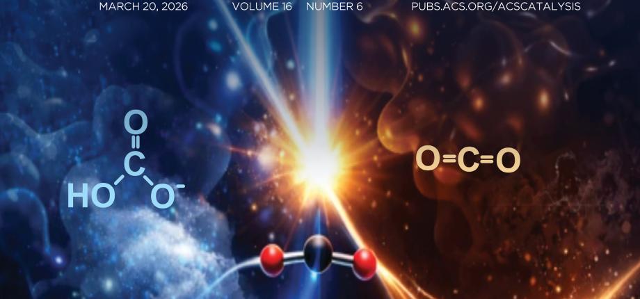 Le photocycle d'une photoenzyme revisité