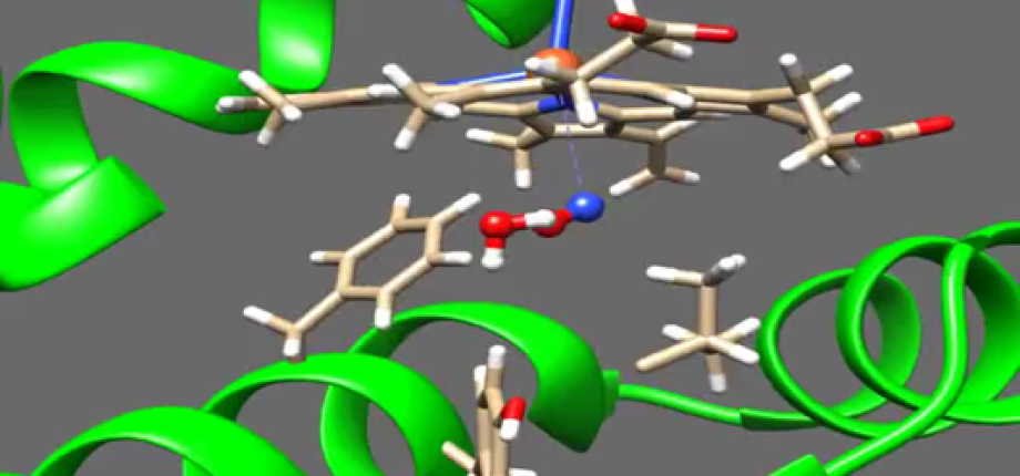 Functional dynamics of biomolecules