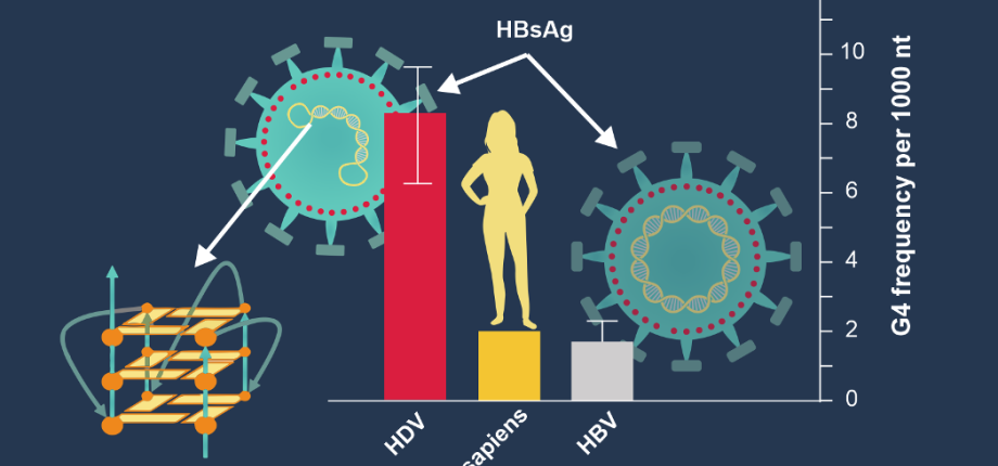 Unusual nucleic acid structures