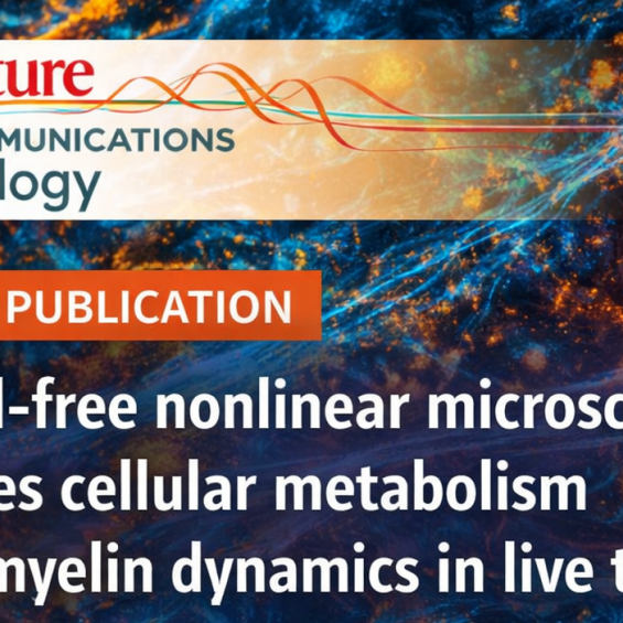 New publication in Nature Communication Biology, “Label-free nonlinear microscopy probes cellular metabolism and myelin dynamics in live tissue”